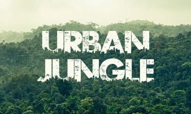 Urban Jungle Font Generator Nature\'s Vibes